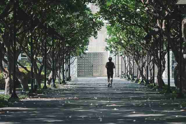 市场洞察|国产探花用户生态现状分析